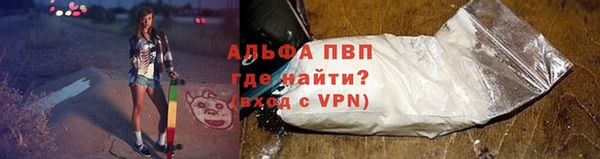 гидра Алексеевка