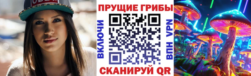 купить  сайты  Кирс  Псилоцибиновые грибы прущие грибы 